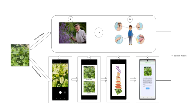 herbs_application